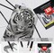Charcoal Drawing Set, 19 Pieces, Black & White Charcoal Pencils for Drawing